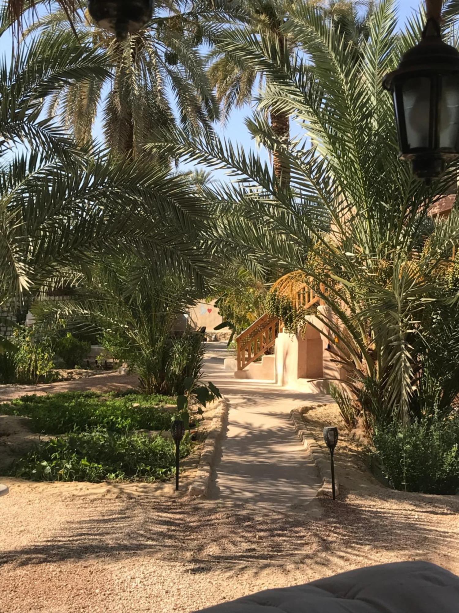 Апартаменты Siwa Spot Siwa Oasis Экстерьер фото