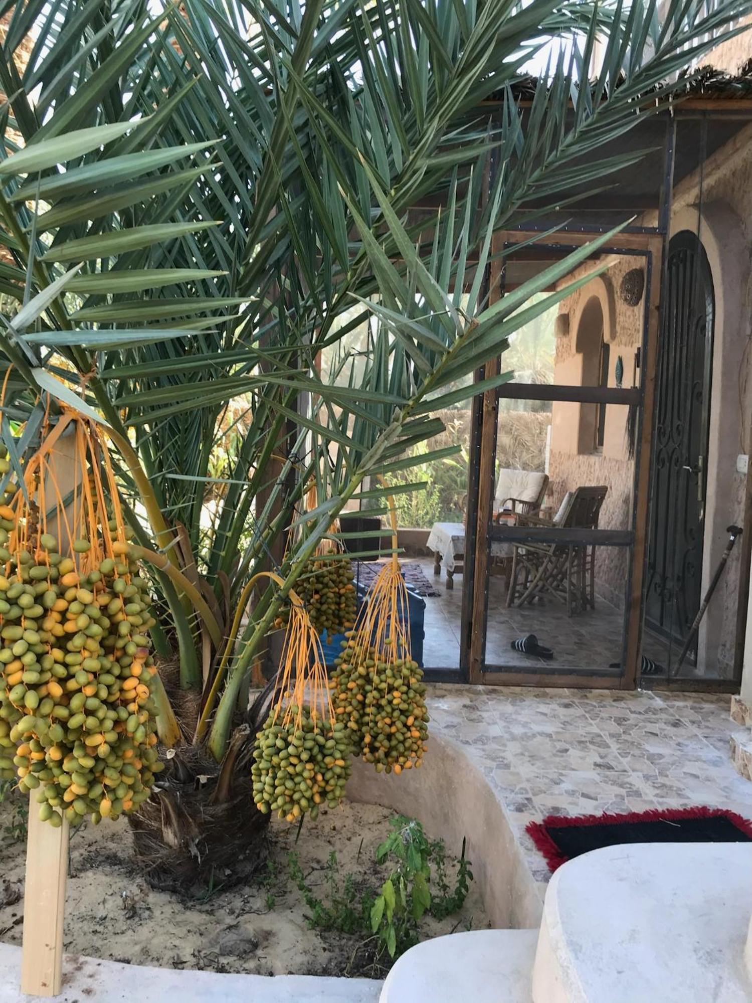Апартаменты Siwa Spot Siwa Oasis Экстерьер фото
